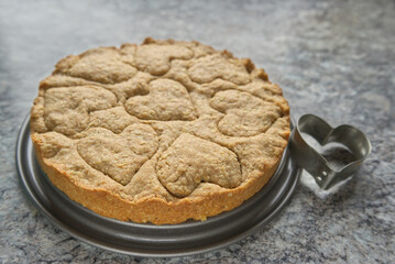 Unsweetened homemade dog pastry