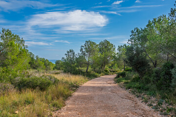 Obraz premium Wanderweg im Naturpark Serra de Irta nahe Alcossebre, Provinz Castellón, Autonome Gemeinschaft Valencia, Spanien