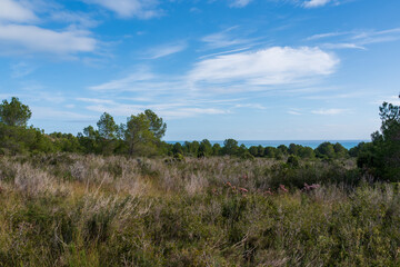 Im Naturpark Serra de Irta mit Blick auf das Mittelmeer nahe Alcossebre, Provinz Castellón, Autonome Gemeinschaft Valencia, Spanien