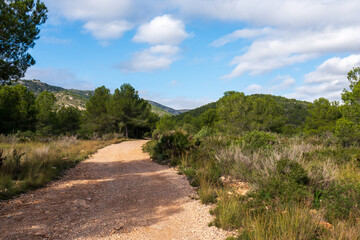 Wanderweg im Naturpark Serra de Irta nahe Alcossebre, Provinz Castellón, Autonome Gemeinschaft Valencia, Spanien