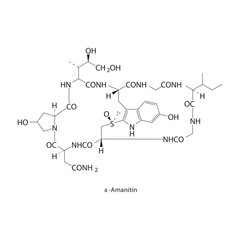 α-Amanitin skeletal structure.Cyclic peptide compound schematic illustration. Simple diagram, chemical structure.