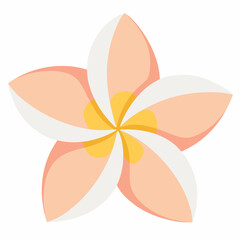 Common white frangipani flower flat vector on white background.