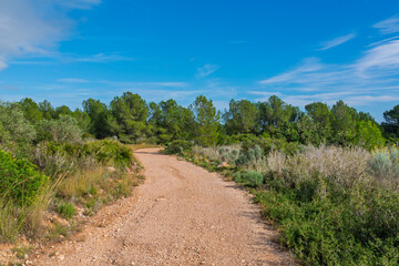Wanderweg im Naturpark Serra de Irta nahe Alcossebre, Provinz Castellón, Autonome Gemeinschaft Valencia, Spanien