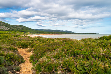 Im Naturpark Serra de Irta mit Blick auf das Mittelmeer nahe Alcossebre, Provinz Castellón,...