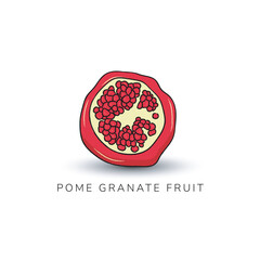 hand drawn of pome granate fruit