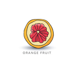 hand drawn of orange fruit