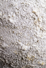 Close up of Rough Textured Surface