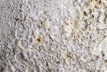 Close up of Rough Textured Surface