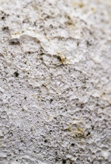 Close up of Rough Textured Surface