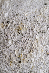 Close up of Rough Textured Surface