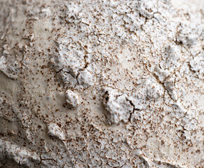 Close up of Rough Textured Surface