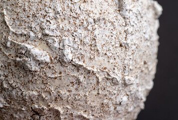 Close up of Rough Textured Surface