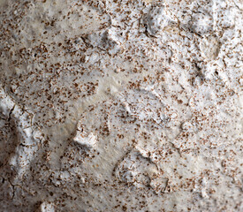 Close up of Rough Textured Surface
