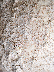Naklejka premium Close up of Rough Textured Surface