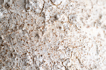 Close up of Rough Textured Surface