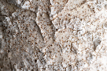 Close up of Rough Textured Surface
