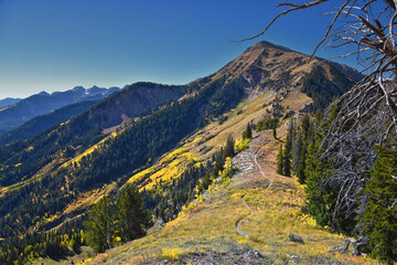 Box Elder Peak Hiking Trail, American Fork Canyon. Uinta-Wasatch-Cache National Forest, Wasatch...