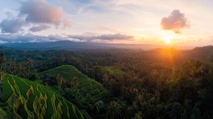 A breathtaking sunset over lush terraced rice fields in Bali, showcasing nature's beauty and tranquility