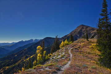 Box Elder Peak Hiking Trail, American Fork Canyon. Uinta-Wasatch-Cache National Forest, Wasatch...