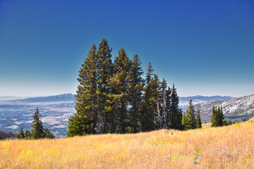 Box Elder Peak Hiking Trail, American Fork Canyon. Uinta-Wasatch-Cache National Forest, Wasatch...