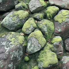 苔のついた石垣のクローズアップ