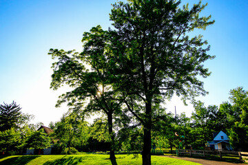 Inniswood Metro Gardens, Westerville, Ohio