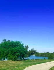 Fototapete Rund summer landscape with lake © STEPH