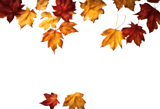 colours many-coloured forest space wooden light season orange white amazing autumn tree frame pattern nature border fall yellow leaves maple background plant decoration colourful red surface leaf