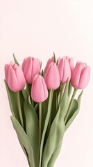 Fototapeta premium Beautiful and Colorful Realistic Pink Tulips with Lush Green Leaves in Soft Space for Text or Design Elements
