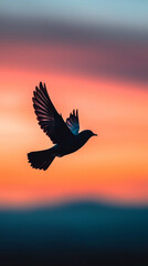 bird in flight against colorful sunset sky, showcasing freedom and beauty