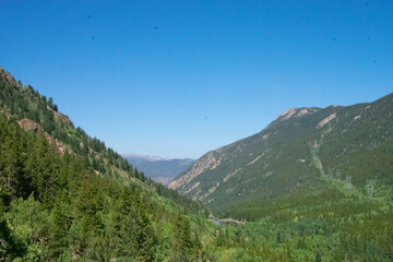 Obraz premium Pine Covered Colorado Rocky Mountain Landscapes 