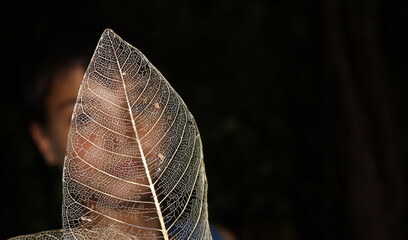 Um menino por trás de uma folha de árvore com formato de renda pela decomposição, fundo preto.