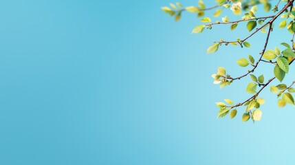 Obraz premium Bird perched on a branch of a tree in a natural outdoor setting during daylight