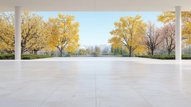 Autumnal park view from modern building; peaceful scene