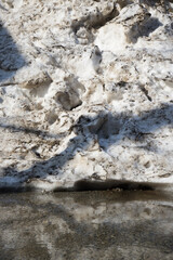 春先の雪