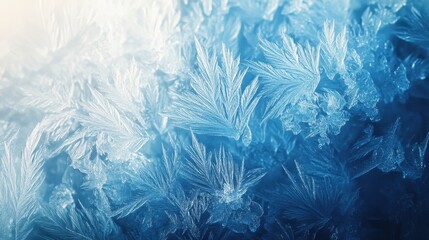Delicate ice crystals with feather like structures are formed on surface