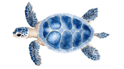 Fototapeta premium Blue Turtle Illustration with Detailed Patterns and Textures Watercolor