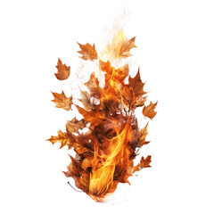 Fire with Leaves Isolated on Transparent Background