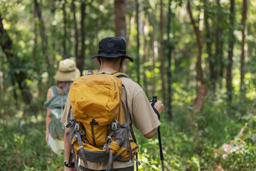 A couple hikes through a dense forest, carrying backpacks and trekking poles. Sunlight filters through the trees, illuminating their adventurous journey as they explore the wilderness together
