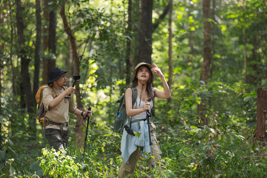 A travel blogger couple explores the forest, capturing stunning moments with their camera. They review photos together, documenting their adventure and sharing their experiences with the world.