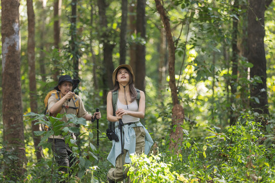 A travel blogger couple explores the forest, capturing stunning moments with their camera. They review photos together, documenting their adventure and sharing their experiences with the world.
