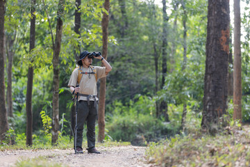 Naklejka premium A male hiker wearing a hat and outdoor gear stands in a dense green forest, looking through binoculars. He is exploring the wilderness, observing wildlife, and enjoying an outdoor adventure in nature.