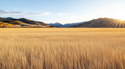 serene golden grassland at sunset with distant mountains and soft light
