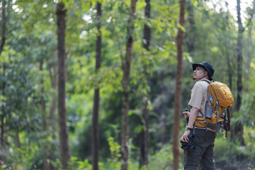 Naklejka premium A male hiker, dressed in outdoor gear, walks through a dense forest carrying a yellow backpack and trekking pole. 