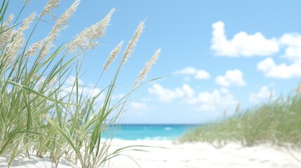 Beach grass path, turquoise ocean, sunny day, summer vacation