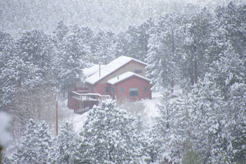 spring snow storm Rollinsville Colorado