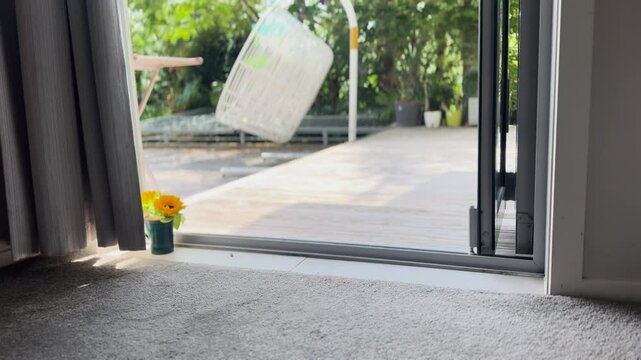 Sunflowers in a cup sitting bide a window to a wooden patio deck and green grass garden in Auckland, New Zealand.
