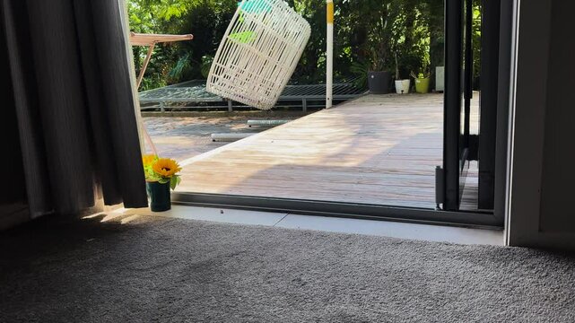 Sunflowers in a cup sitting bide a window to a wooden patio deck and green grass garden in Auckland, New Zealand.