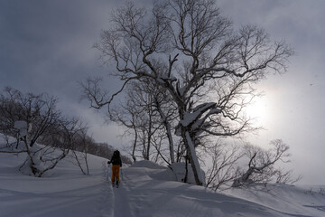 ニセコ　山スキー　登高