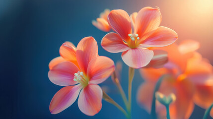 Naklejka premium Delicate Pink Flowers with Soft Lighting against a Blue Background
